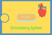 Circulatory System Game Quiz Online